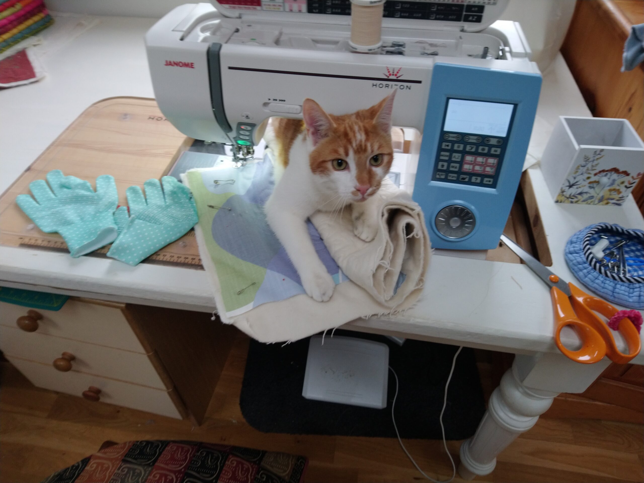 Timber Ark Textiles - Design and Construction, Cat helping with the Sewing Machine